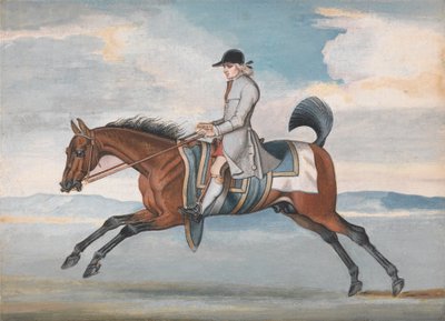 Cheval de course à l