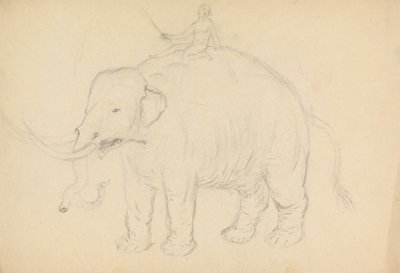 Éléphant avec cavalier - James Sowerby