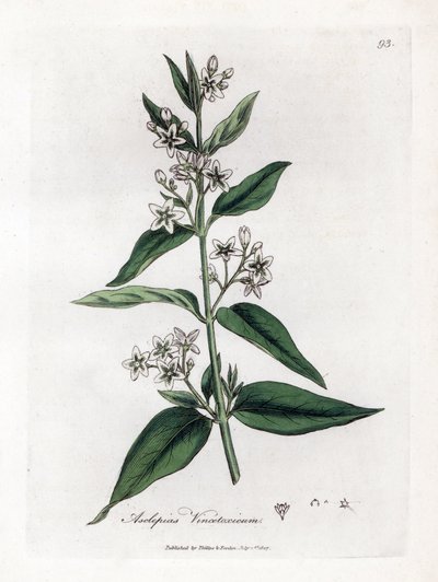 Variété d