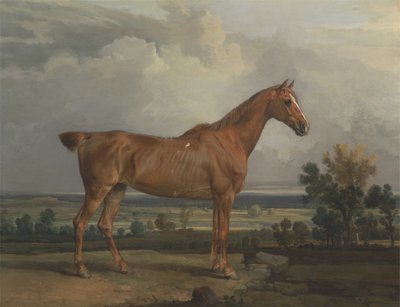 Chasseur dans un paysage - James Ward