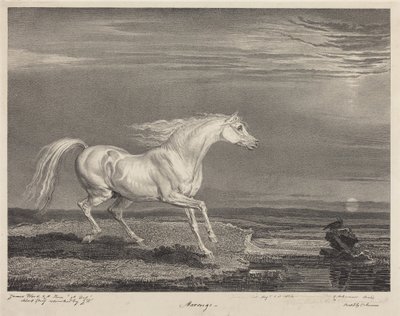 Marengo - James Ward