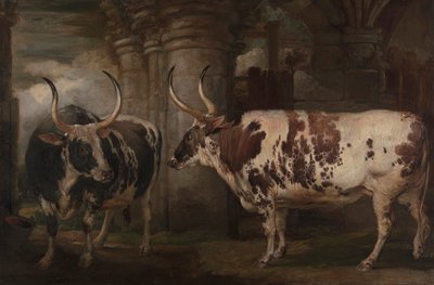 Portraits de deux bœufs extraordinaires, propriété du comte de Powis - James Ward