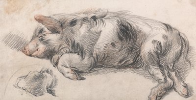 Cochon de lait - James Ward
