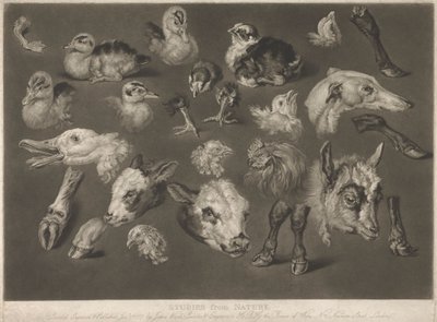 Études de la nature - James Ward