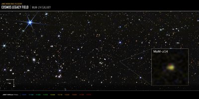 Galaxie MoM-z14 du champ COSMOS (image NIRCam) - James Webb Space Telescope (NASA)