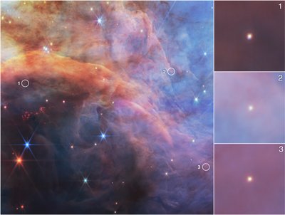 Objets de faible masse au sein de la nébuleuse de la Flamme (image NIRCam) - James Webb Space Telescope (NASA)