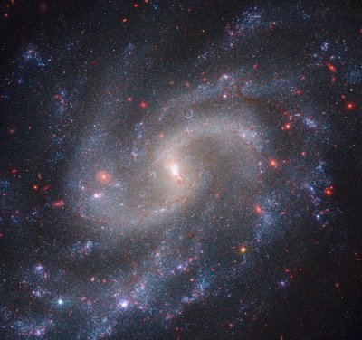 NGC 5584 - James Webb Space Telescope (NASA)