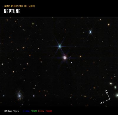 Neptune Champ Large - James Webb Space Telescope (NASA)