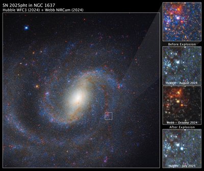 SN 2025pht dans NGC 1637 - James Webb Space Telescope (NASA)