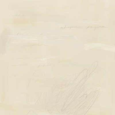 Écriture abstraite estompée - James Zamora