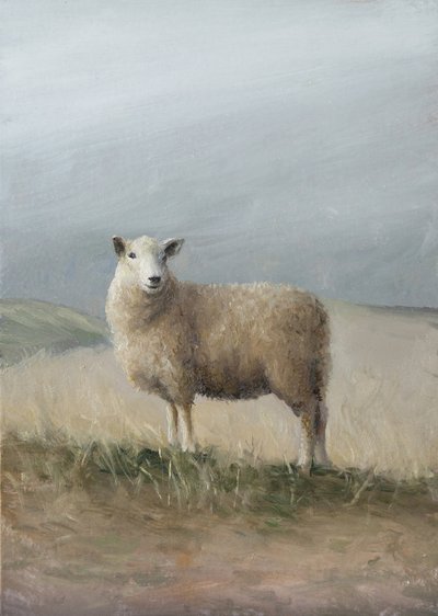 Moutons de pâturage - James Zamora