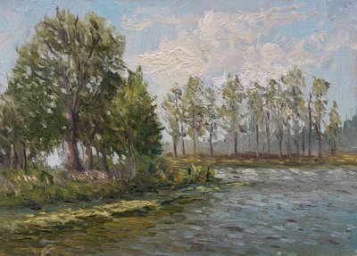 Arbres verts au bord de la rivière - James Zamora