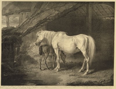 Primevère et poulain, de Chevaux célèbres, une série de quatorze gravures de courses publiées par l