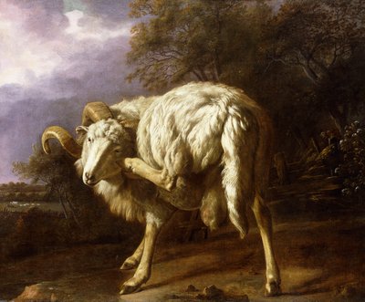 Un bélier dans un paysage boisé - Jan Baptist Weenix