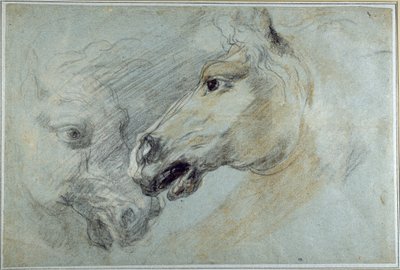 Deux études de tête de cheval - Jan Boeckhorst