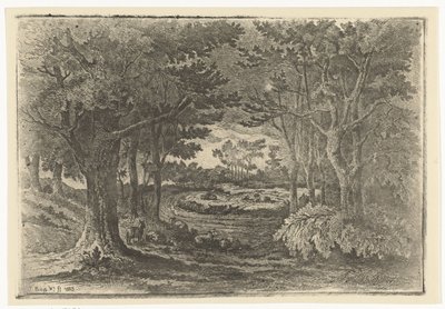 Paysage forestier avec cinq moutons - Jan Bos Wz.
