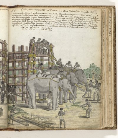 Un éléphant lié conduit depuis la dernière section du piège, le corral de la prison - Jan Brandes