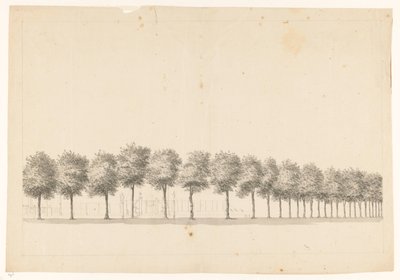 Allée d