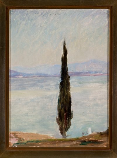 Cyprès. Extrait d