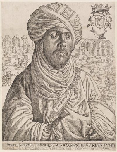 Portrait de Muley Ahmed - Jan Cornelisz Vermeyen