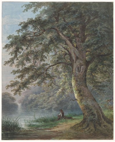 Pêcheur sous un grand arbre près d