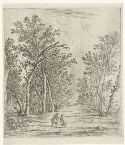 Sentier forestier - Jan Fouceel