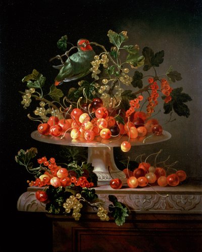 Nature morte de cerises et de groseilles avec un perroquet - Jan Frans van Son