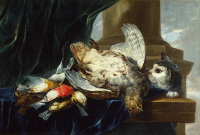 Une perdrix morte et d