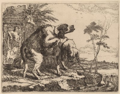 Deux chiens copulant - Jan Fyt