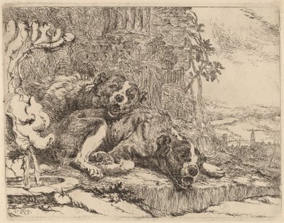 Deux mâtins près d