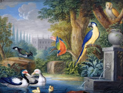 Oiseaux exotiques dans un jardin ornemental, vers 1650 - Jan Gerritsz. van Bronckhorst