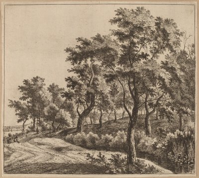 Paysage avec un ruisseau - Jan Hackaert
