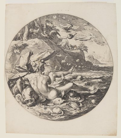 Le cinquième jour, planche 6, de La création du monde - Jan Harmensz. Muller