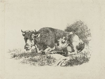 Vache couchée - Jan Kobell (III)