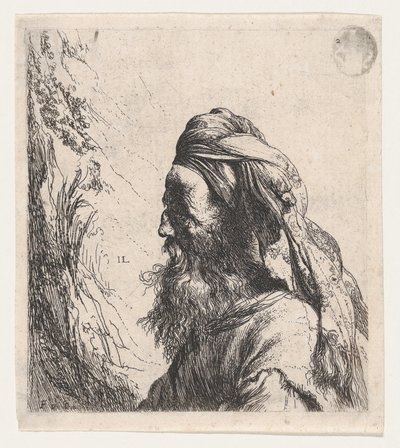 Homme au turban tourné vers la gauche - Jan Lievens