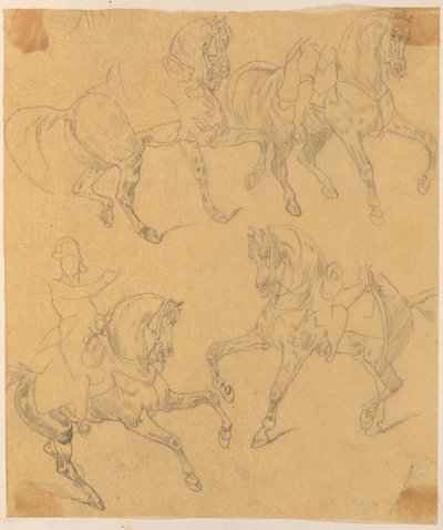 Trésor. Quatre chevaux et cavaliers. - Jan Matejko
