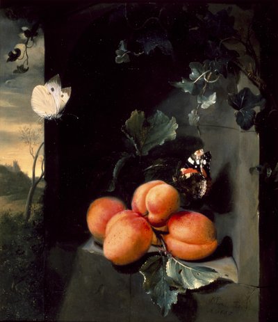 Nature morte avec abricots et papillons, 1683 - Jan Mortel