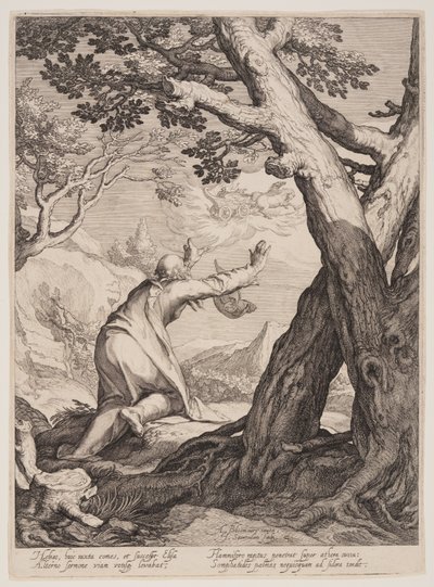 Elisée reçoit la robe d