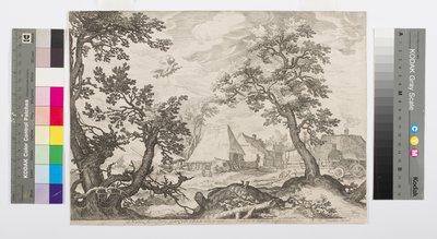 Paysage montrant l