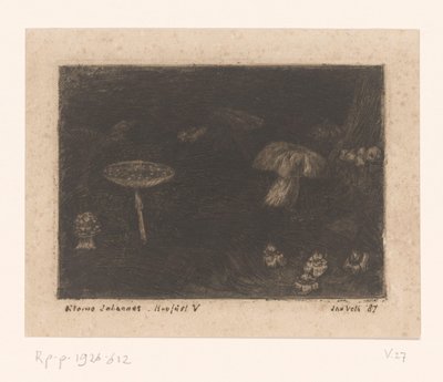 Champignons - Jan Veth (signed by artist)
