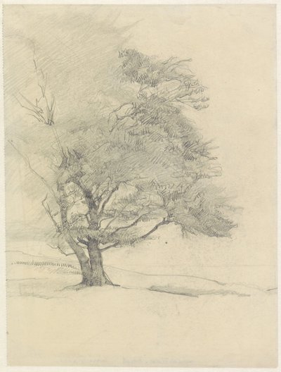  - Jan Veth