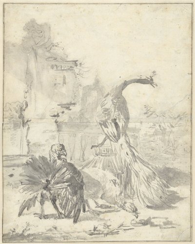 Cour de basse-cour avec un paon et deux dindons - Jan Baptist Weenix