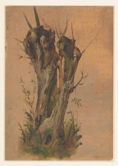 Saule têtard - Jan Weissenbruch