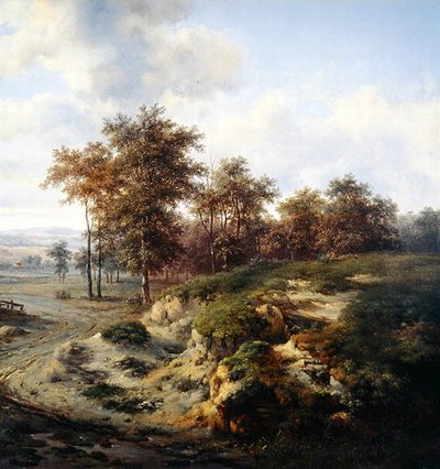Le Chemin vers Sandhugel - Jan Wijnants