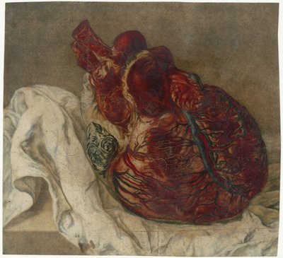 Impressions du cerveau et du cœur - Jan l