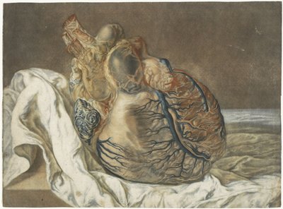 Impressions du cerveau et du cœur - Jan l