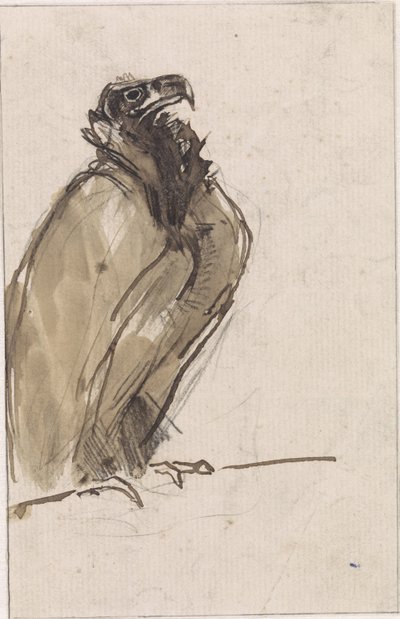 Vautour, assis sur une branche - Jan van Essen