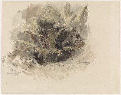 Fougère royale dans un jardin à Scherpenzeel - Jan van Essen