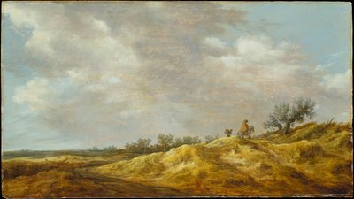  - Jan van Goyen