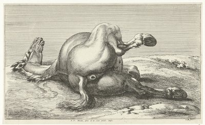 Cheval mort (Gesneuvelde paarden) - Jan van Huchtenburg